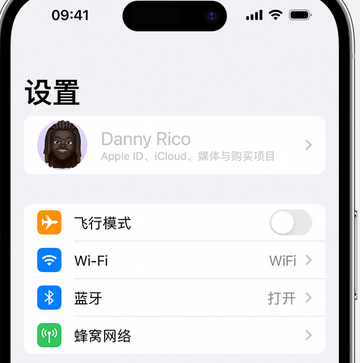 如东appleID维修服务iPhone设置中Apple ID显示为灰色无法使用 