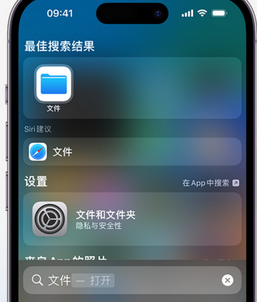 如东apple维修中心分享iPhone文件应用中存储和找到下载文件 