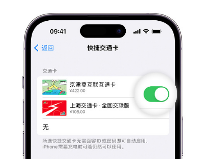 如东apple维修点分享iPhone上更换Apple Pay快捷交通卡手绘卡面 