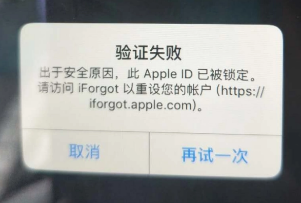 如东iPhone维修分享iPhone上正常登录或使用AppleID怎么办 