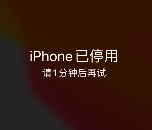 如东苹果手机维修分享:iPhone 显示“不可用”或“已停用”怎么办？还能保留数据吗？ 