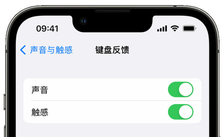 如东苹果手机维修分享iPhone 14触感键盘使用方法 