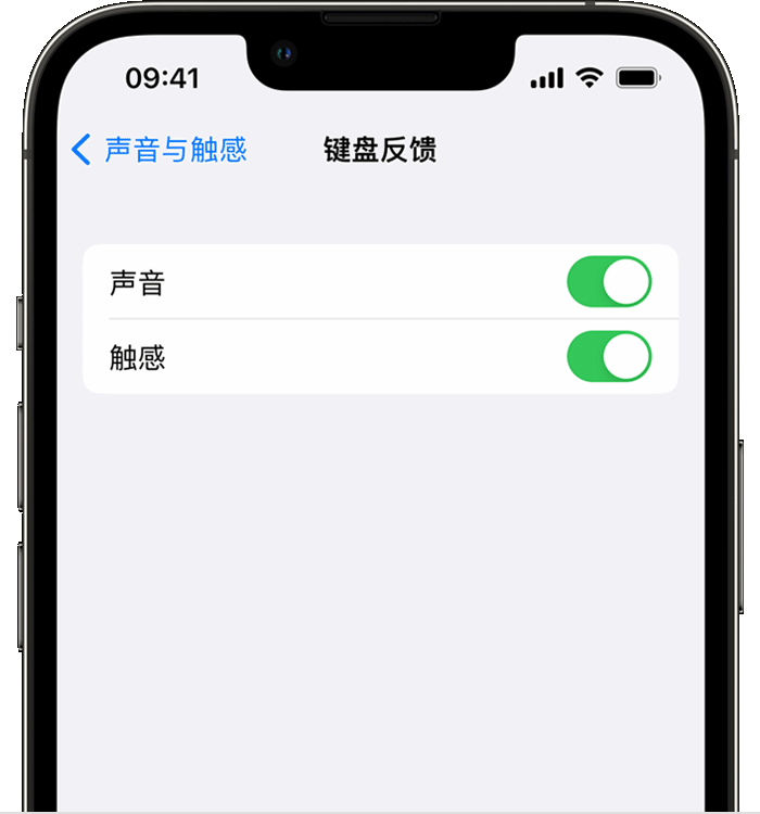 如东苹果14维修店分享如何在 iPhone 14 机型中使用触感键盘 