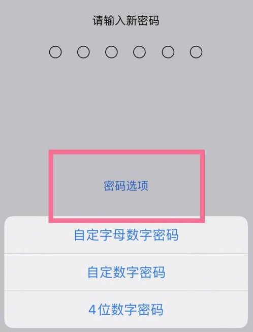 如东苹果14维修分享iPhone 14plus设置密码的方法 