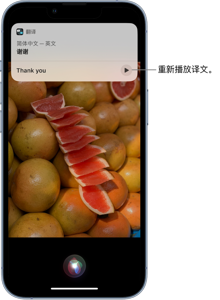 如东苹果14维修分享 iPhone 14 机型中使用 Siri：了解 Siri 能帮你做什么 