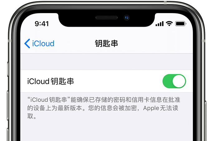 如东苹果手机维修分享在 iPhone 上开启 iCloud 钥匙串之后会储存哪些信息 