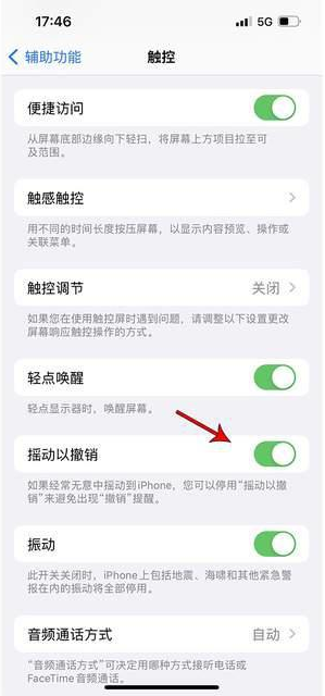 如东苹果手机维修分享iPhone手机如何设置摇一摇删除文字 